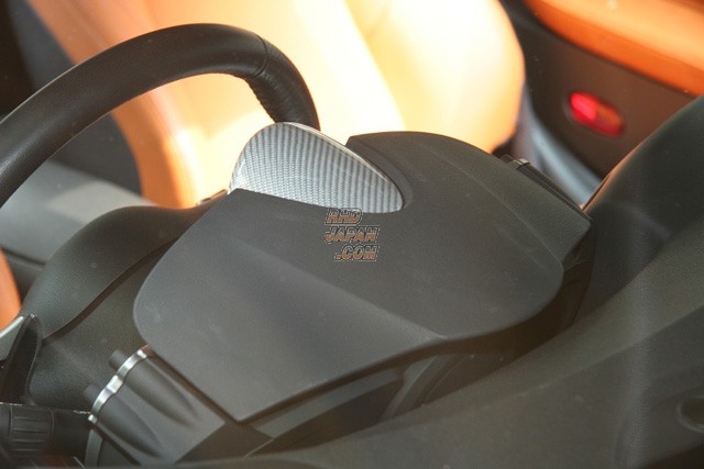 RSW S-Type Meter Panel Silver Carbon Fiber - Z34