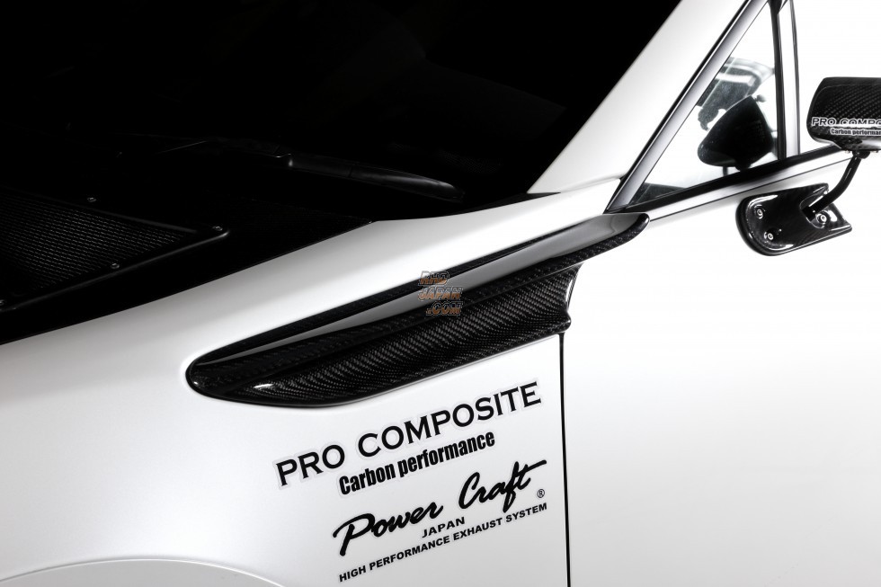 Pro Composite Fender Canard Set Type-1 FRP - ZN6