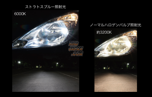 Halogen 6000k store