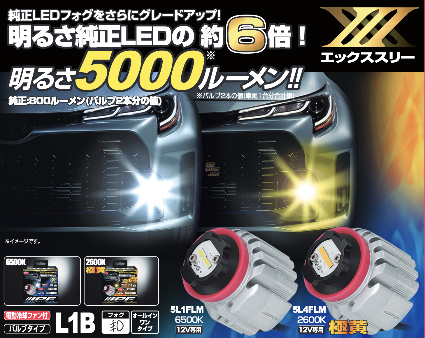 IPF LED Back Lamp Bulb X3 - 2500L