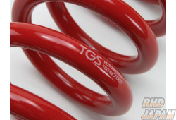 TGS Automotive Technology Anti-Roll Suspension Coil Spring ±0 Inch - Delica D:5 CV5W