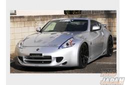 Central 20 Z-Sport Front G-Nose - Z34