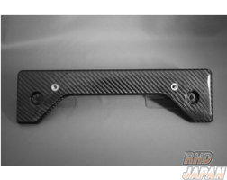LEMS Front Number Base Dry Carbon Fiber with Clear Coating - IS F USE20