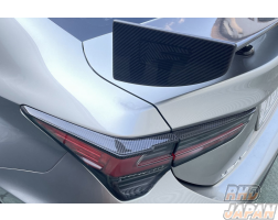 LEMS Tail Spoiler Set Dry Carbon Fiber - Lexus RC-F USC10 RC350 GSC10 RC300h AVC10 RC300 ASC10