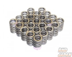Tomei Valve Springs Set - RB20DE RB20DET VG30DE VG30DETT