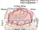 Project Mu Rear Brake Pads Type Racing999 - Forester Impreza G4 / Sports Legacy B4 Outback Levorg WRX S4 XV
