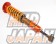 Aragosta Coilover Suspension Type-S Front Pillow Rear OEM - Z27AG