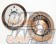 Dixcel Brake Rotor Set FP Type Rear Standard Finish - SJG