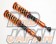 Aragosta Coilover Suspension Type-E Pillow Ball Type - CL7 CL9