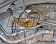 Laile Beatrush Strut Tower Bar Rear - NF2EK NDERC ND5RC