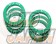Tein Replacement Helper Spring Set - SS016-01080
