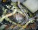 JUN Auto Reinforced Rear Subframe - S2000 AP1 AP2