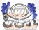 HKS Piping Kit Special Type - BNR32