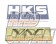 HKS VAC Velocity Advanced Computer - Type IS F