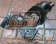 Alex Motorsports Reinforced Engine Mount Set - Swift Sport ZC31S