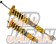 Ohlins Coilover Suspension Complete Kit Type HAL DFV Rubber Upper Mounts - BCNR33