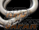 Power Craft Exhaust Manifold & Metal Catalyzer 42.7 -> 50.8 -> 60mm - BRZ ZD8 GR86 ZN8