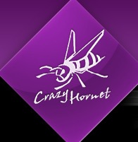 CRAZY HORNET