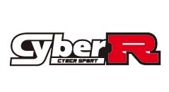 Cyber Sport